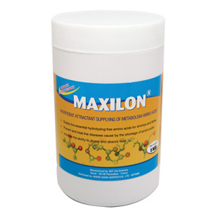 MAXILON